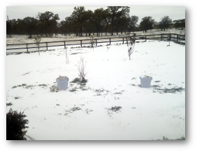 Snow, er, sleet