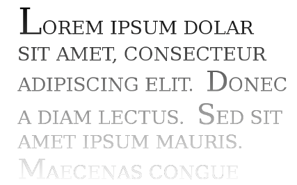 Lorem Ipsum